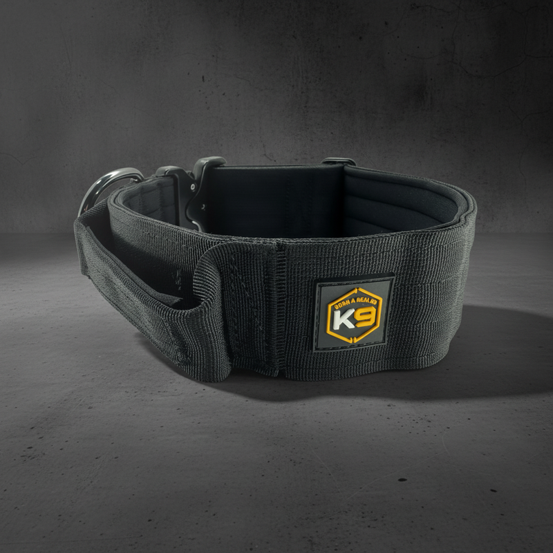 BORN A REAL K9 Tactical Collar - you 50 MM