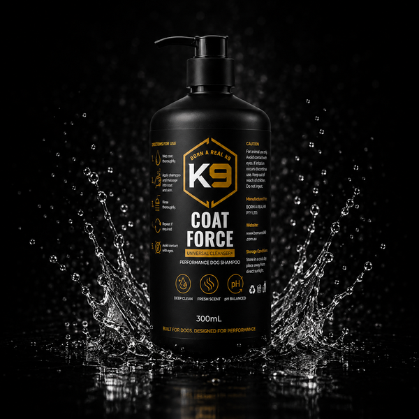 UNIVERSAL CLEANSE+